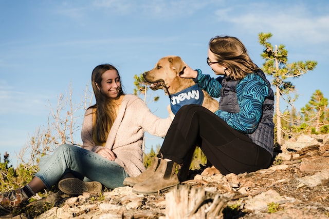 Tips for Teaching Your Dog Sign Language