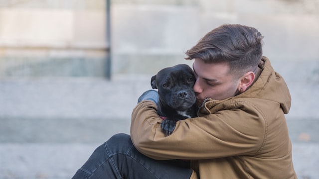 Why Does Your Dog Love Sitting On Your Lap?