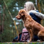 Dog Training Mistakes